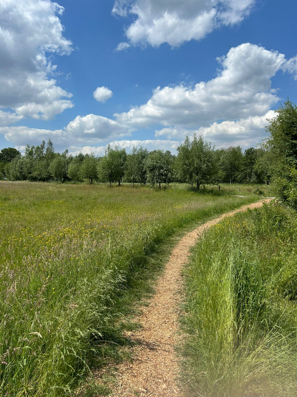 wandeling 